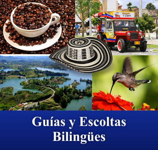 Guias escoltas bilingues Traductor Turistico
